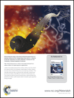 Graphical abstract: Back cover