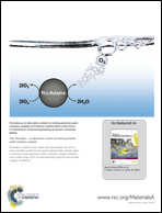 Graphical abstract: Back cover