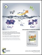 Graphical abstract: Back cover