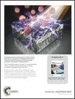 Graphical abstract: Back cover