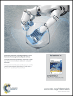 Graphical abstract: Back cover