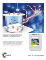 Graphical abstract: Inside back cover
