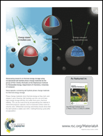 Graphical abstract: Inside back cover