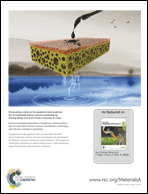 Graphical abstract: Back cover