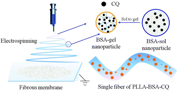 Graphical abstract: Nanogel-electrospinning for controlling the release of water-soluble drugs