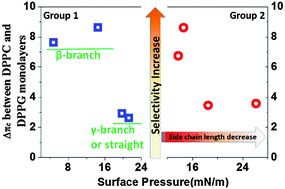 Graphical abstract: Amino acid side chains affect the bioactivity of designed short peptide amphiphiles