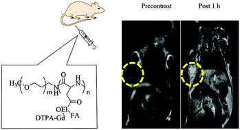 Graphical abstract: Oligoethylenimine grafted PEGylated poly(aspartic acid) as a macromolecular contrast agent: properties and in vivo studies
