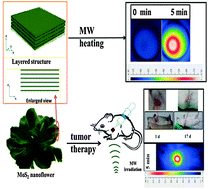 Graphical abstract: Layered MoS2 nanoflowers for microwave thermal therapy