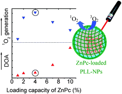 Graphical abstract: Synthesis and optimization of ZnPc-loaded biocompatible nanoparticles for efficient photodynamic therapy