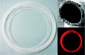 Graphical abstract: The microfluidic synthesis of composite hollow microfibers for K+-responsive controlled release based on a host–guest system