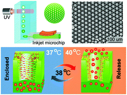 Graphical abstract: Inkjet printing based assembly of thermoresponsive core–shell polymer microcapsules for controlled drug release