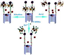 Graphical abstract: Triple-stimuli-responsive nanocontainers assembled by water-soluble pillar[5]arene-based pseudorotaxanes for controlled release