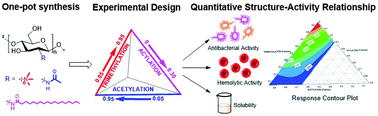 Graphical abstract: Experimental design for determining quantitative structure activity relationship for antibacterial chitosan derivatives
