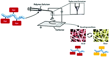 Graphical abstract: Blend electrospinning of dye-functionalized chitosan and poly(ε-caprolactone): towards biocompatible pH-sensors