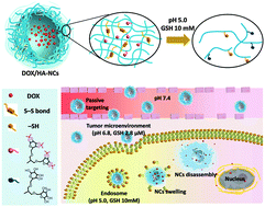 Graphical abstract: Dual cellular stimuli-responsive hydrogel nanocapsules for delivery of anticancer drugs