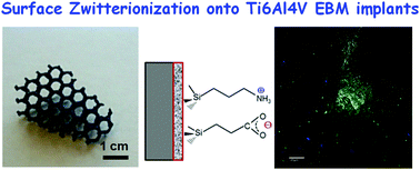 Graphical abstract: Surface zwitterionization of customized 3D Ti6Al4V scaffolds: a promising alternative to eradicate bone infection