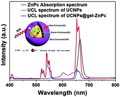 Graphical abstract: UCNPs@gelatin–ZnPc nanocomposite: synthesis, imaging and anticancer properties