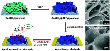 Graphical abstract: Multidimensional hybrid conductive nanoplate-based aptasensor for platelet-derived growth factor detection