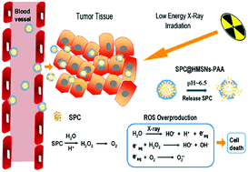 Graphical abstract: Efficient free radical generation against cancer cells by low-dose X-ray irradiation with a functional SPC delivery nanosystem
