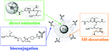 Graphical abstract: Sulfhydrylated graphene-encapsulated iron nanoparticles directly aminated with polyethylenimine: a novel magnetic nanoplatform for bioconjugation of gamma globulins and polyclonal antibodies