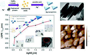 Graphical abstract: Protein-aided formation of triangular silver nanoprisms with enhanced SERS performance