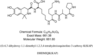 Graphical abstract: DHDMIQK(KAP): a novel nano-delivery system of dihydroxyl-tetrahydro-isoquinoline-3-carboxylic acid and KPAK towards the thrombus