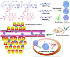 Graphical abstract: Drug binding rate regulates the properties of polysaccharide prodrugs