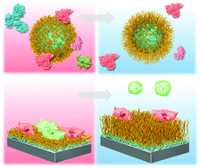 Graphical abstract: Thermoresponsive-polymer-based materials for temperature-modulated bioanalysis and bioseparations