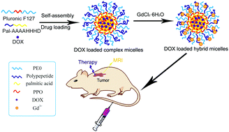 Graphical abstract: Deposition of gadolinium onto the shell structure of micelles for integrated magnetic resonance imaging and robust drug delivery systems