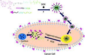 Graphical abstract: Development of a reactive oxygen species (ROS)-responsive nanoplatform for targeted oral cancer therapy