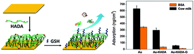 Graphical abstract: Dopamine-assisted deposition and zwitteration of hyaluronic acid for the nanoscale fabrication of low-fouling surfaces