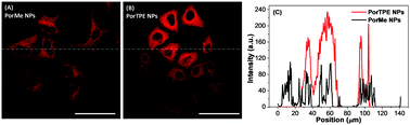 Graphical abstract: Decoration of porphyrin with tetraphenylethene: converting a fluorophore with aggregation-caused quenching to aggregation-induced emission enhancement