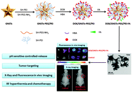 Graphical abstract: A gold nanostar based multi-functional tumor-targeting nanoplatform for tumor theranostic applications