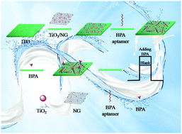 Graphical abstract: Femtomolar sensitivity of bisphenol A photoelectrochemical aptasensor induced by visible light-driven TiO2 nanoparticle-decorated nitrogen-doped graphene