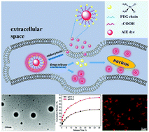 Graphical abstract: Fabrication and biomedical applications of AIE active nanotheranostics through the combination of a ring-opening reaction and formation of dynamic hydrazones