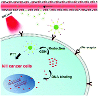 Graphical abstract: CuS–Pt(iv)–PEG–FA nanoparticles for targeted photothermal and chemotherapy