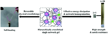 Graphical abstract: Robust and self-healable nanocomposite physical hydrogel facilitated by the synergy of ternary crosslinking points in a single network
