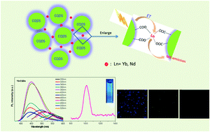 Graphical abstract: Near-infrared emissive lanthanide hybridized carbon quantum dots for bioimaging applications