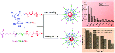 Graphical abstract: A poly(ascorbyl acrylate)-containing nanoplatform with anticancer activity and the sequential combination therapy with its loaded paclitaxel