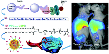 Graphical abstract: Peptide functionalized targeting liposomes: for nanoscale drug delivery towards angiogenesis