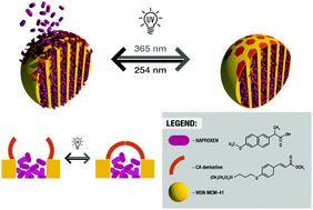 Graphical abstract: A drug delivery system based on switchable photo-controlled p-coumaric acid derivatives anchored on mesoporous silica