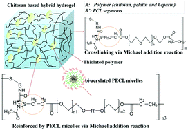 Graphical abstract: High mechanical strength chitosan-based hydrogels cross-linked with poly(ethylene glycol)/polycaprolactone micelles for the controlled release of drugs/growth factors