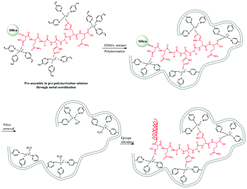 Graphical abstract: An epitope imprinted polymer with affinity for kininogen fragments prepared by metal coordination interaction for cancer biomarker analysis