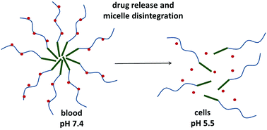 Graphical abstract: Micelle-forming HPMA copolymer conjugates of ritonavir bound via a pH-sensitive spacer with improved cellular uptake designed for enhanced tumor accumulation