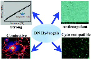 Graphical abstract: Highly hemo-compatible, mechanically strong, and conductive dual cross-linked polymer hydrogels