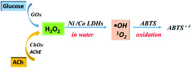 Graphical abstract: One-step analysis of glucose and acetylcholine in water based on the intrinsic peroxidase-like activity of Ni/Co LDHs microspheres