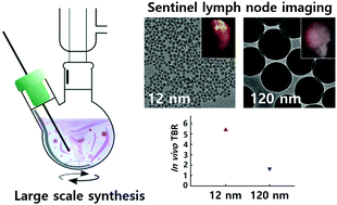 Graphical abstract: Facile scalable synthesis of highly monodisperse small silica nanoparticles using alkaline buffer solution and their application for efficient sentinel lymph node mapping