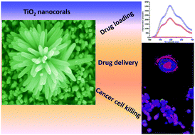 Graphical abstract: Functional TiO2 nanocoral architecture for light-activated cancer chemotherapy