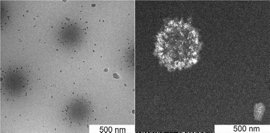 Graphical abstract: Hydrophobic superparamagnetic FePt nanoparticles in hydrophilic poly(N-vinylcaprolactam) microgels: a new multifunctional hybrid system