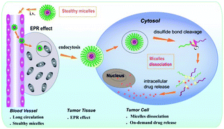 Graphical abstract: Redox-mediated dissociation of PEG–polypeptide-based micelles for on-demand release of anticancer drugs